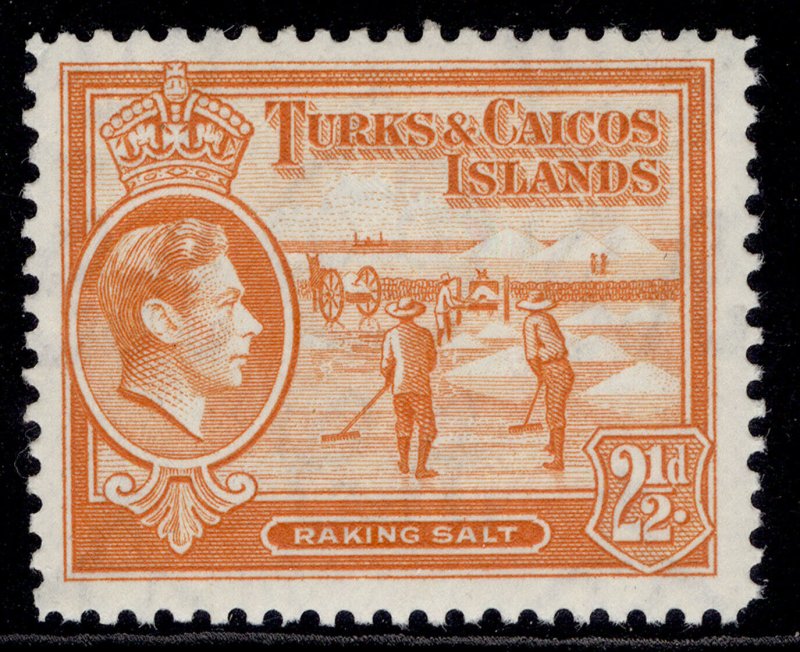 TURKS & CAICOS ISLANDS GVI SG199, 2½d yellow-orange, LH MINT. Cat £13.