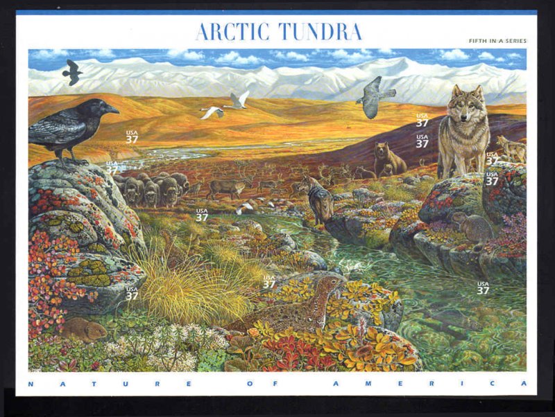 3802 MNH NATURE OF AMERICA SERIES 5th SHEET  Arctic Tundra Wolf
