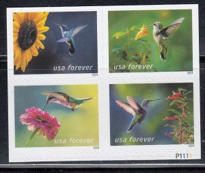 US 2024 Sc#5845-5848 Garden Delights (Block of 4) with plate# MNH