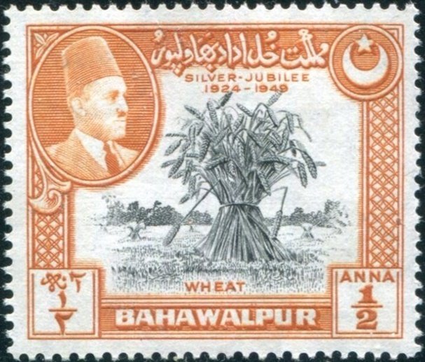 Bahawalpur Sc#23 Used