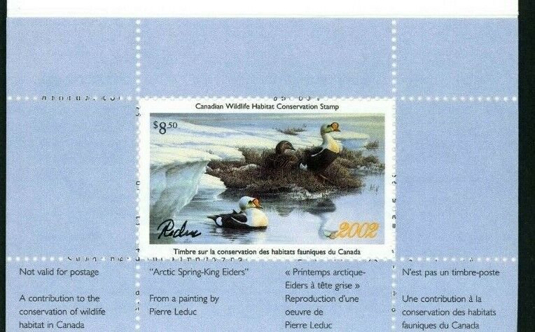 CANADA 2002 DUCK STAMP ARTIST SIGNED IN FOLDER AS ISSUED KING EIDER by Leduc