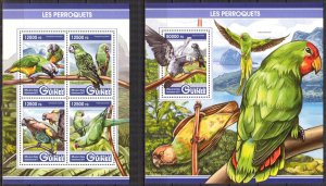 Guinea 2017 Birds Parrots sheet + S/S MNH