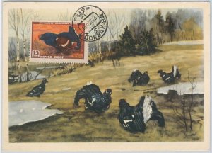 52594  - RUSSIA Росси́я -  POSTAL HISTORY: MAXIMUM CARD - 1957  ANIMALS  Birds