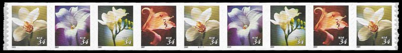 PCBstamps  US #3478/3481 PNC9  $3.06(9x34c)Flowers, (B111), MNH, (4)