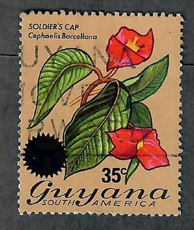 Guyana #234 used single