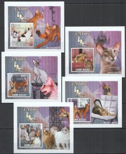 A0864 2010 Guinea-Bissau Fauna Pets Cats Gatos 5 Lux Bl Mnh