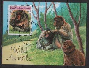 Somalia, Mogadichu 1999 Souvenir sheet of 1 CTO, Monkeys