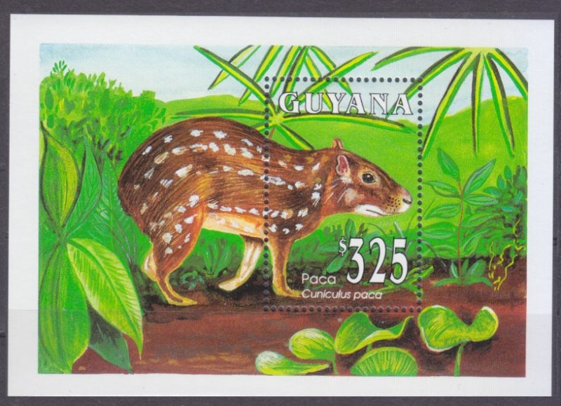 1993 Guyana 4080/B245 Fauna 7,00 €