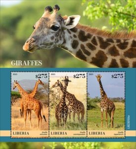 Liberia - 2023 Giraffe, Reticulated, Masai - 3 Stamp Sheet - LIB230106a