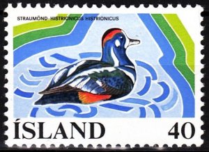 ICELAND / ISLAND 1977 FAUNA Bird: Duck. European Freshwater Year. Single, MLH