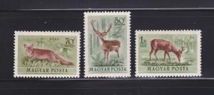 Hungary C116-C118 MHR Animals