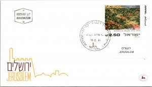 Israel, Worldwide First Day Cover, Art