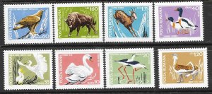 Romania Sc 2047-54 MNH Set of 1968 - Protected Birds and Animals