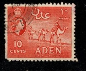 Aden -  #49 Camel Transport  -  Used