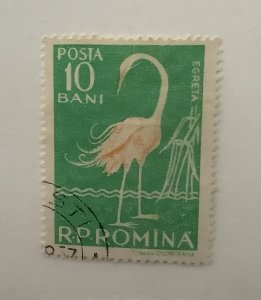 Romania 1957  Scott  1195 used - 10b, wildlife,  Great white Egret, bird