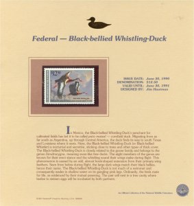 United States 1990 Federal and State Duck Stamps on Fleetwood Presentation Cards