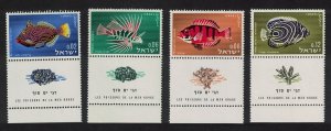 Israel Red Sea Fish 4v Tabs T2 1963 MNH SC#246-249 SG#265-268 MI#291-294