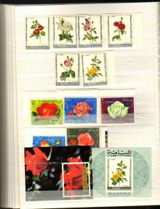 Flowers Topical Sets; MNH