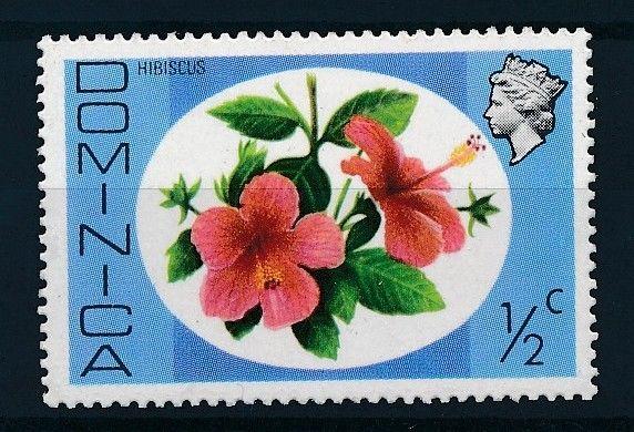 [62592] Dominica 1975 Flora Flowers Blumen - Hibiscus  MNH