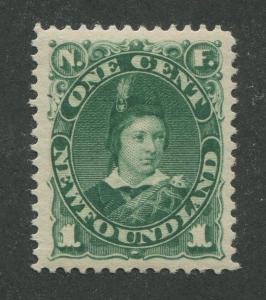 NEWFOUNDLAND #44 MINT VF
