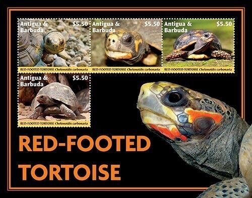 2023 09- ANTIGUA - RED FOOTED TORTOISE        4V  complet set    MNH **