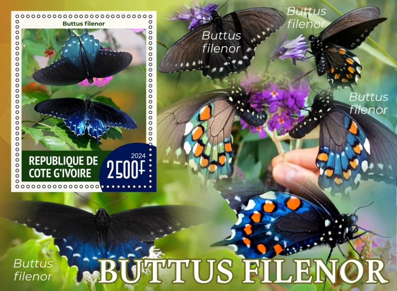 Stamps.Fauna, Butterflies  2024 year 8 sheets perforated