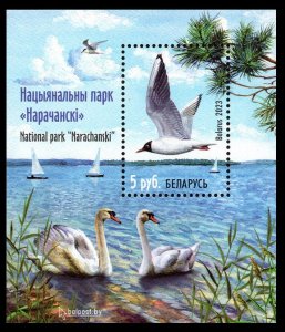 2023 Belarus 1505/B224 Birds - Narochansky National Park