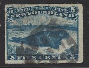 Newfoundland #40 Large Stamp!!