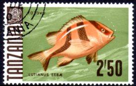 Tanzania - 1967 Fishes 2s50 Used SG 154