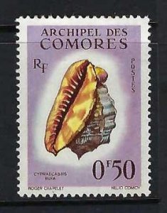 COMORES 48 MOG SEA SHELL A1066-1