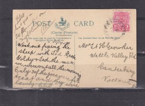 NEW SOUTH WALES, PRETTY PINE cds., 1910 ppc.   S.S. MAORI  to Melbourne