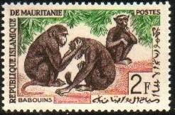 Guinea Baboons, Mauritania stamp SC#137 MNH