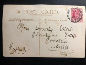 1908 Cape Of good Hope South Africa RPPC Postcard Cover to England Pigs & piccan