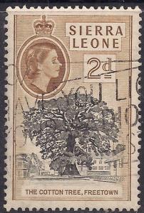 Sierra leone 1956 - 61 QE2 2d Cotton Tree freetown SG 213 ( J1366 )