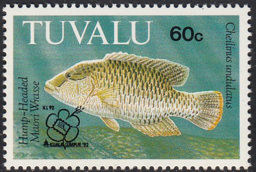 Tuvalu 1992 MNH Sc #632 60c Hump-headed Maori Wrasse - Kuala Lumpur '92 overp...