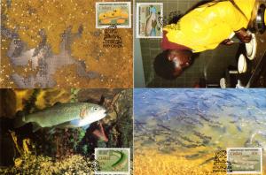 Ciskei - 1989 Trout Hatcheries Maxi Card Set SG 149-152