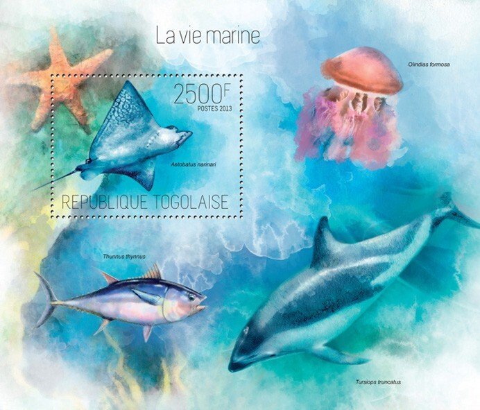 TOGO - 2013 - Marine Life - Perf Souv Sheet - Mint Never Hinged