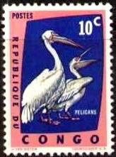 Bird, Pelicans, Congo stamp SC#429 MNH