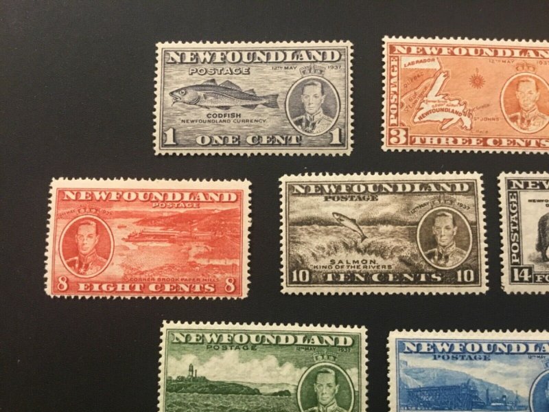 ICOLLECTZONE Newfoundland 233-43 VF hinged