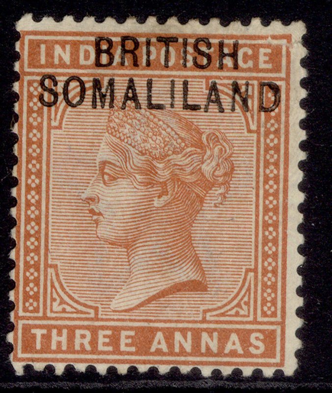 SOMALILAND PROTECTORATE EDVII SG5, 3a brown-orange, M MINT. 