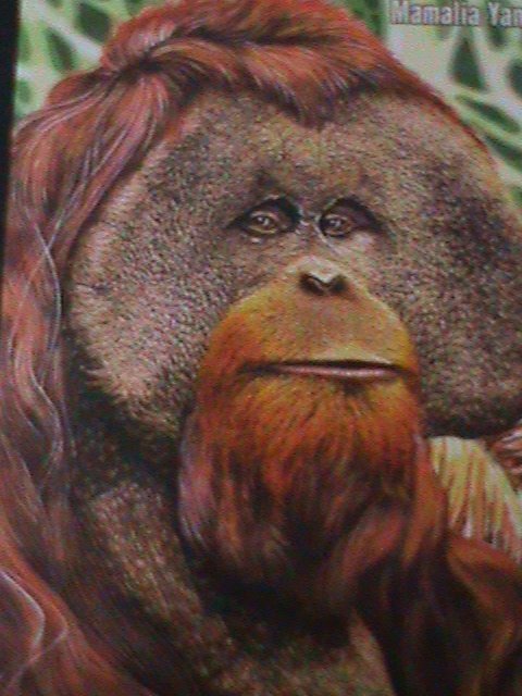 ​MALAYSIA-  PROTACTED MMMALS ANIMALS-GORILLAS MNH -S/S-VERY FINE-LAST ONE