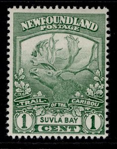 CANADA - Newfoundland GV SG130, 1c green, NH MINT.