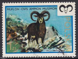 Poland 1972 Mouflon 1.00zł 1973