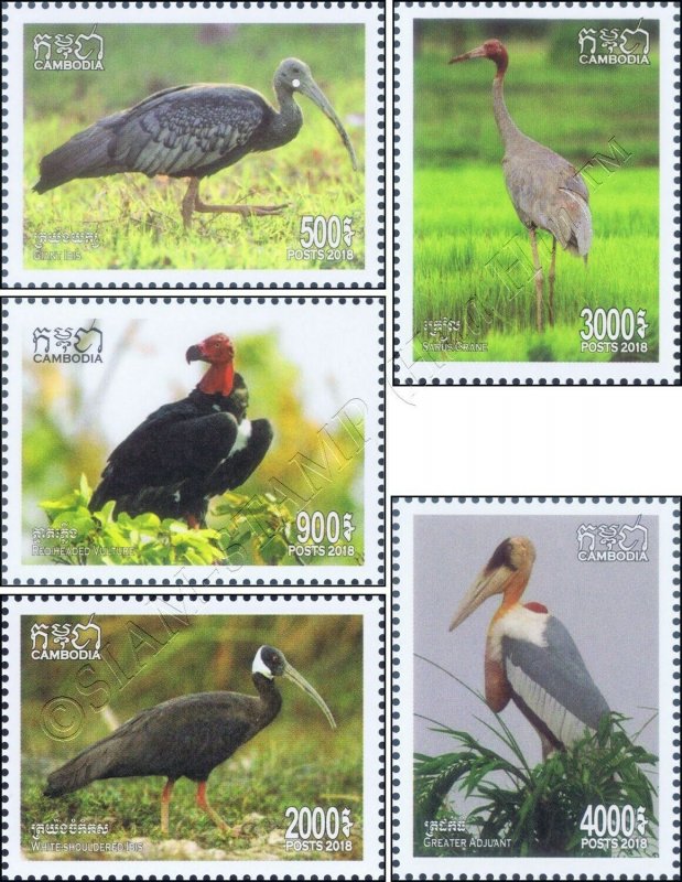 Birds (IX) (MNH)