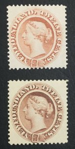 MOMEN: NEWFOUNDLAND SC #28-29 MINT OG NH LOT #61079