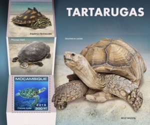 Mozambique - 2019 Turtles on Stamps - Stamp Souvenir Sheet - MOZ190223b