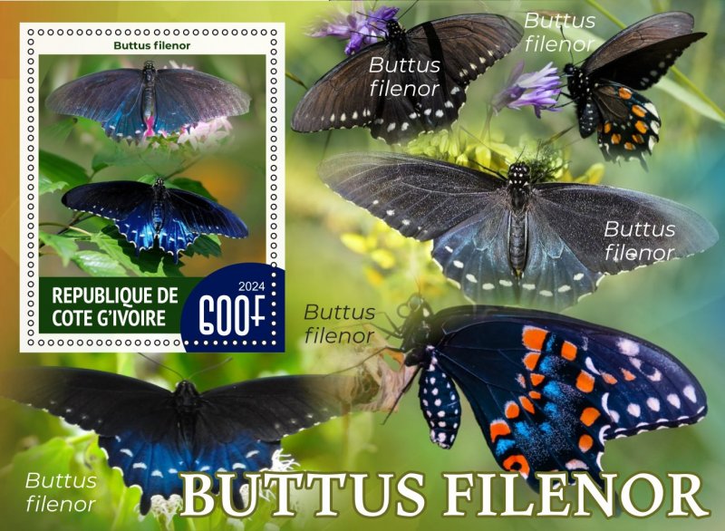 Stamps.Fauna, Butterflies  2024 year 8 sheets perforated