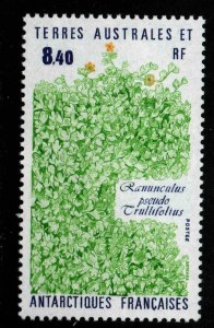 FSAT TAAF Scott 157  MNH** plant stamp