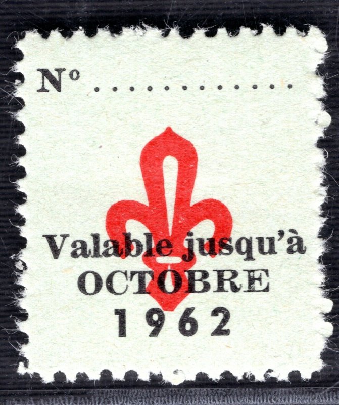 SCOUTS STAMP/LABEL France Valable Jusqu'a 1962 Mint UMM MNH 2WHITE52