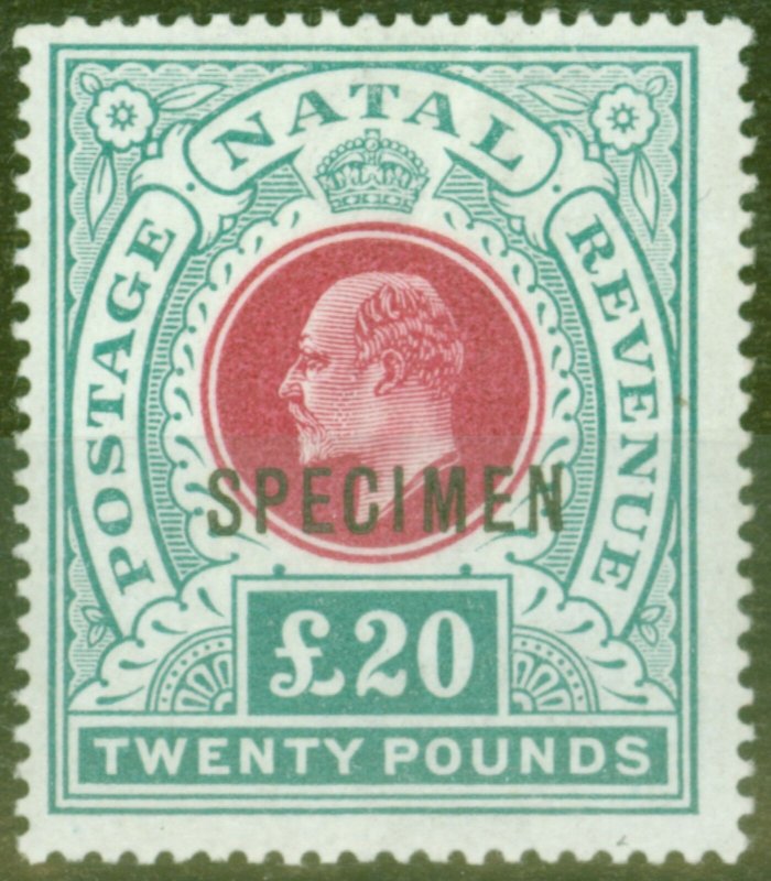 Natal 1902 £20 Red & Green Specimen SG145bs Fine & Fresh Lightly Mtd Mint